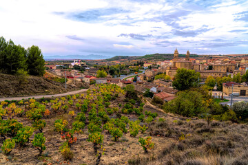 Fototapeta na wymiar Vineyard Elciego Spain with view of town in Alava Basque Country wine making region