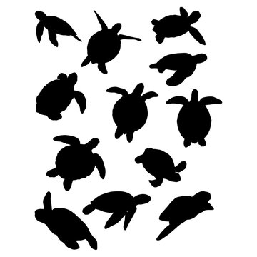 set of sea turtles silhouette vector 