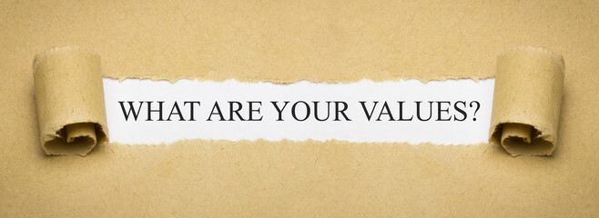 What are Your Values?