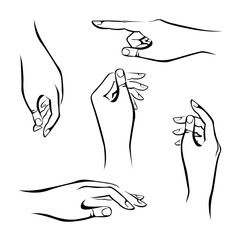 Vector set of hands in different positions. Line illustration.