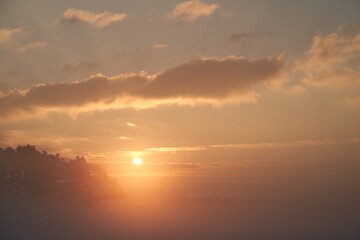 Obraz premium Tree branches at a foggy sunset. Sunset fog outdoors. Misty orange sunset scene.