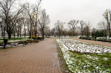 Novi Sad park in winter. View of Novi Sad city park in winter.