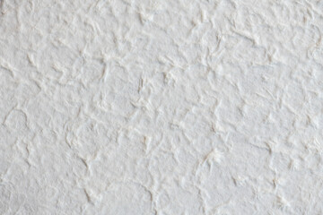 White mulberry paper texture use dry flower and leaf fiber mix for abstract texture background. Mulberry paper with texture background white tone.