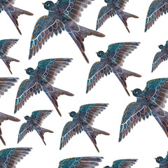 Watercolor swallow on a white background. Seamless pattern