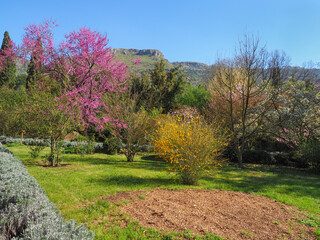 Amazing Garden of Ninfa created in the ruins of a medieval city in Italy. Romantic park with flowering trees and shrubs.