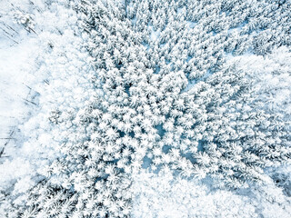Fototapeta premium Wald im Winter klein von oben mit Schnee bedeckt Luftbildfotografie