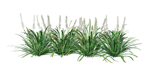 Fototapeta premium Flowers and shrubs in the garden on a transparent background.