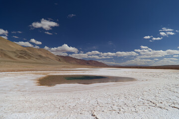 The green waters of Ojos De Mar in Puna Argentina