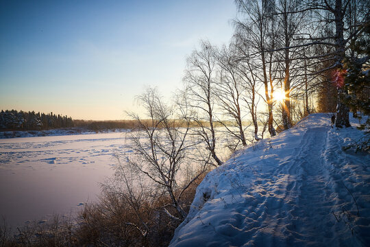 Sunrise on winter morning and trees with bare branches on a cold sunny time and snow on field