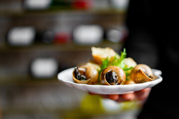 Man chef hand holding a plate whith Snail