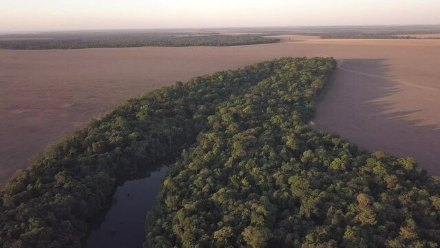 Beautiful drone aerial view of forest trees and river surrounded by agriculture soybean plantation. Amazon rainforest deforestation. Environment, ecology, climate change concept. Mato Grosso, Brazil.