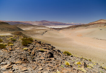 Puna landscape near Salar de Antofalla, Argentina