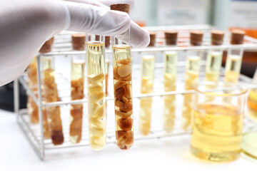 Yellow oil extracted from natural raw material