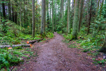 Meadowdale Park Trail