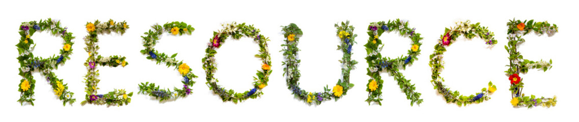 Blooming Flower Letters Building English Word Resource