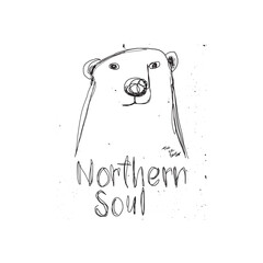 bear illustration for print