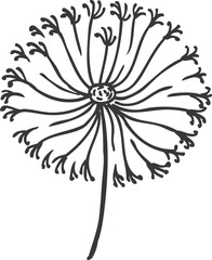 Dandelion doodle. Black floral icon. Spring symbol