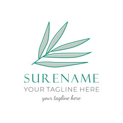 green willow leaves logo design illustration beauty nature floral spa relaxation aroma therapy health care custom logo design inspiration