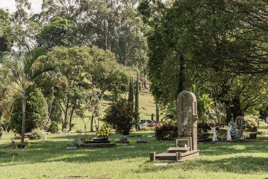 Cemetery in the park