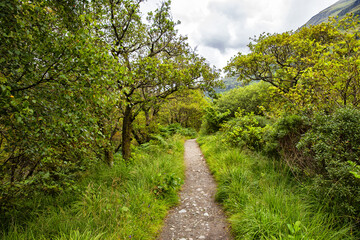 Fototapeta na wymiar Beautiful landscapes, unspoiled nature, walking on Glen Nevis