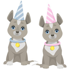 Set of two gray dogs with different striped birthday hats
