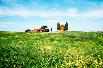 charming landscape with rape flowers and chapel of Madonna di Vitaleta in background on a sunny day...