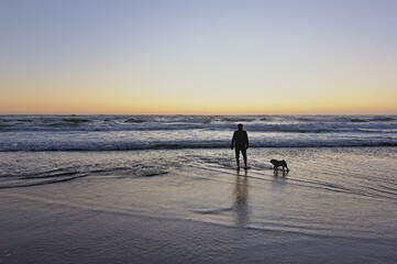 hombre jugando con su perro pug en la orilla del mar mientras esta la puesta de sol