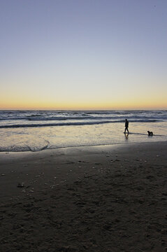 hombre jugando con su perro pug en la orilla del mar mientras se pone el sol
