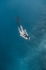 Obraz premium Young female dives close to a massive school of sardines without the help of a breathing apparatus.