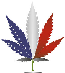 cannabis leaf vector illustration USA 