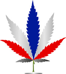 cannabis leaf vector illustration, marijuana thailand