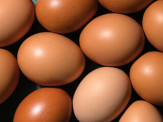 Uncooked yolk between whole eggs. Chicken raw egg. Fresh food.Top view of eggs