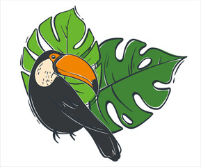 Fashionable flat illustration with black toucan on green leaves background. Wild tropical bird. Vector illustration. © Khay_Juliya
