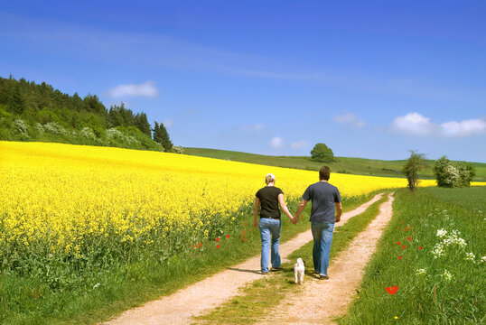 Spaziergang im Fr&uuml;hling