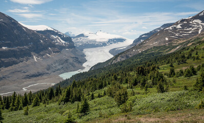Fototapeta na wymiar Unsurpassed, panoramic view of the high peaks and glaciers of the Columbia Icefield from the beautiful meadows along the slopes of Mount Wilcox near the border of Banff and Jasper National Park
