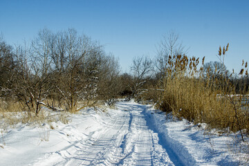 Road in the snow leading to the forest. Winter season
