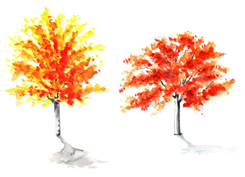 Watercolor painted trees illustration, transparent decorative element, sketch nature object