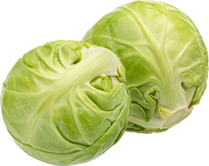 Brussels sprouts isolated