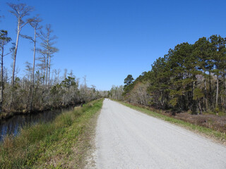 It's a scenic drive exploring the dirt roads within the Alligator River National Wildlife Refuge in Eastern North Carolina. 