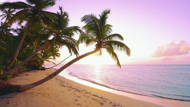 Pink sunset on a tropical beach with palm trees. Relaxation on a paradise island. Pink sky background as an exotic summer landscape with a calm sea coast. Twilight on the beach.
