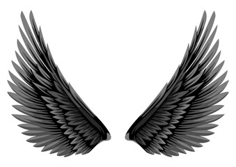 Obraz premium Black and white wings isolated on white