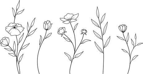 Set of minimal hand drawn botanical floral elements. Branches and leaves colors. Vintage botanical illustrations.