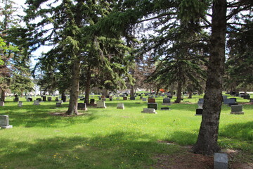 Fototapeta na wymiar cemetery in spring
