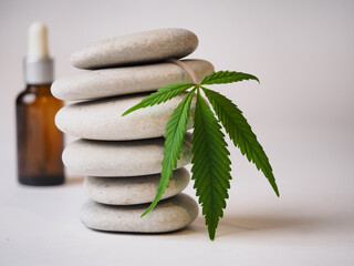 cannabis leaf on pebbles . medical marijuana