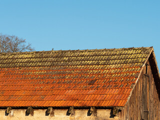 Moos auf Dachziegeln