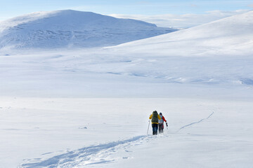 Naklejka na ściany i meble Hikers on snow shoe hiking on a beautiful sunny day at the mountain of Dovrefjell