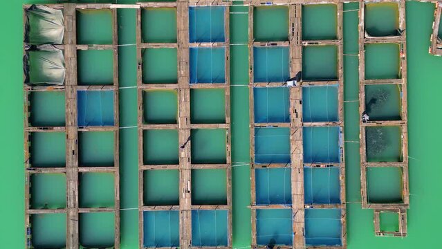 Aerial drone view of fish farm. Fish farming is a form of aquaculture in which fish are raised in enclosures to be sold as food.