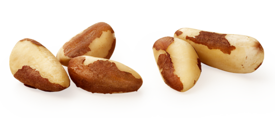 Castanhas do Pará sortidas em fundo transparente - castanha do Pará