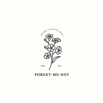 Line art forget-me-not flower drawing