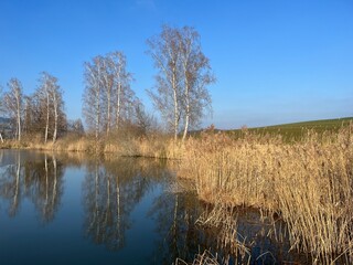 Lake in winter with reef and trees, blue sky